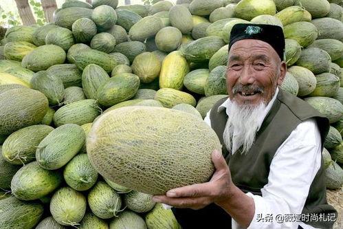 吃哈密瓜的感动,舌尖上的感动之旅