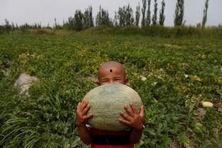 奇葩神像带你吃瓜,跟随吃瓜群众探寻神秘传说背后的故事