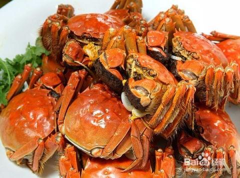 带你吃瓜奇葩螃蟹,带你探索“带你吃瓜奇葩螃蟹”的神秘世界