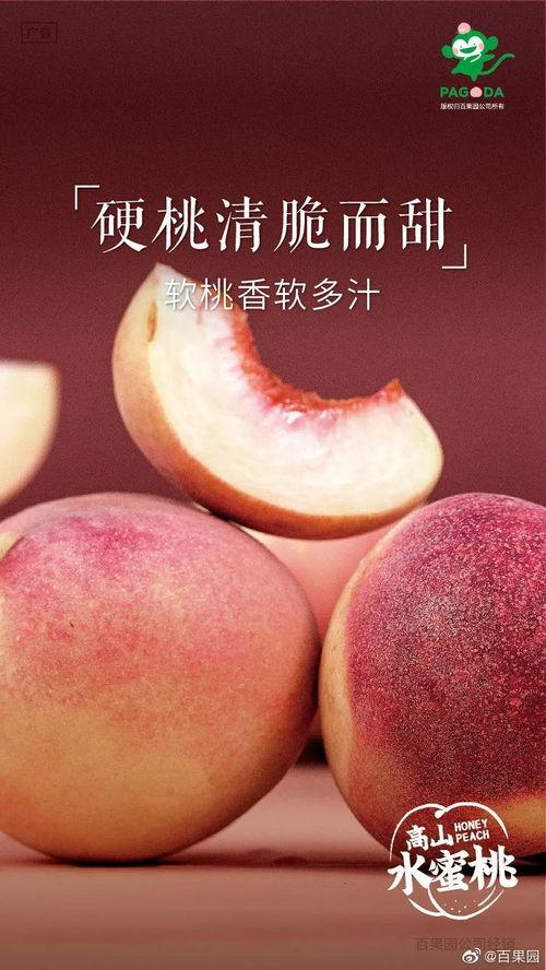 没功夫吃瓜,揭秘当代人的时间困境