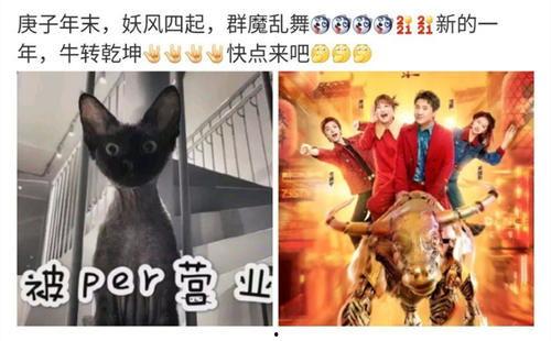 吃瓜当判官,吃瓜群众视角下的社会现象解析