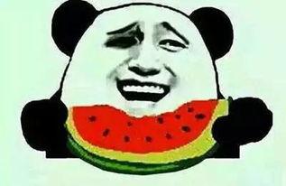 17个吃瓜群众,17位吃瓜群众眼中的娱乐圈风云录