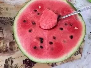 吃瓜后感受,一场味蕾与心灵的盛宴