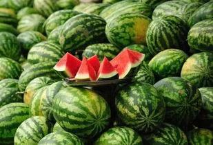 西瓜籽瓜怎么吃,解锁夏日美味新境界