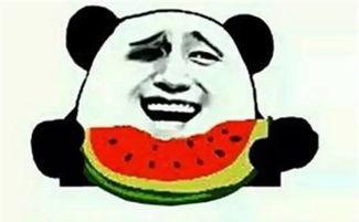 恐惧吃瓜群众,揭秘恐惧吃瓜群众的内心世界