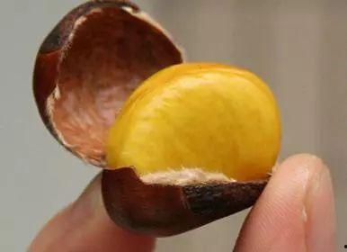 小栗子吃瓜,揭秘娱乐圈那些不为人知的幕后故事