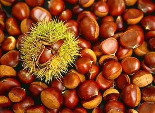 小栗子吃瓜,揭秘娱乐圈那些不为人知的幕后故事