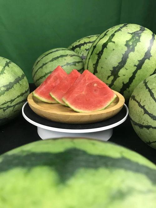 带你吃瓜讲武汉,带你吃遍江城特色瓜果佳肴