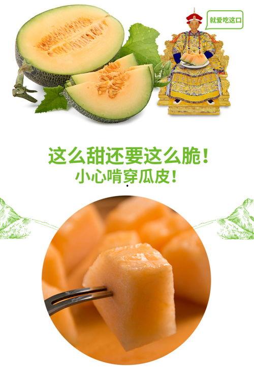 吃瓜号66,带你领略网络世界的趣味与真相