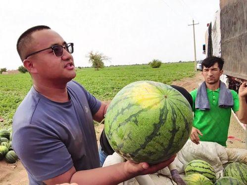 来吐鲁番吃瓜,探寻新疆瓜王的美味之旅