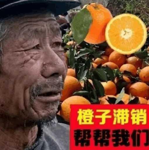 渣渣辉吃瓜,揭秘娱乐圈幕后风云