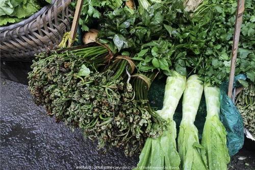 青姨舞台吃瓜,揭秘娱乐圈幕后真相