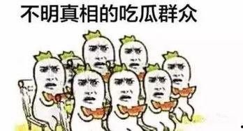 吃瓜群众c,揭秘娱乐圈背后的那些事儿