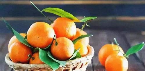 沈悦吃瓜系统,揭秘娱乐圈幕后真相，带你领略明星生活