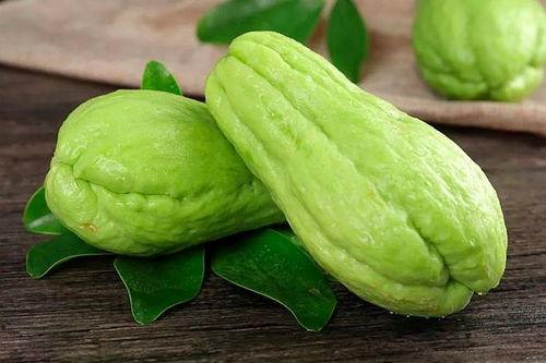 阿舒拉吃瓜,揭秘瓜界新宠的崛起之路